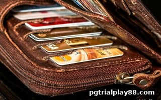 pg电子试玩网深度解析：TRC20提现审核文件必备指南
