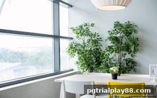 pg电子试玩网 | 线上真人扑克胜率计算核心指南：概率、策略与实战心理