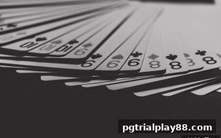策略与运气的完美碰撞：pg电子试玩网带你玩转桌游风险管理艺术