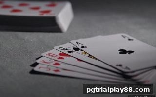 波音百家乐：pg电子试玩网带你解锁桌游中的沟通艺术