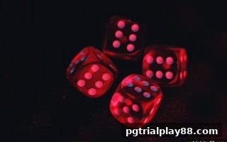 pg电子试玩网深度解析：北京赛车直播开奖平台组合投注全攻略