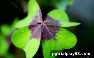 双色球历史开奖数据深度解析：pg电子试玩网教你科学玩转盘口策略
