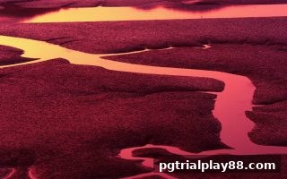 pg电子试玩网深度解析：极速时时彩玩法全攻略与中奖概率指南
