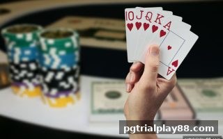 pg电子试玩网深度解析：数据驱动的棋牌报牌策略，从感性走向理性