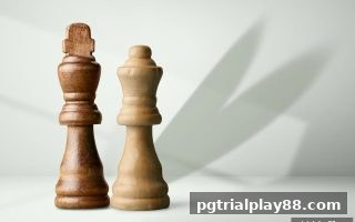 掌握pg电子试玩网国际象棋时间控制技巧：从新手到大师的进阶之路