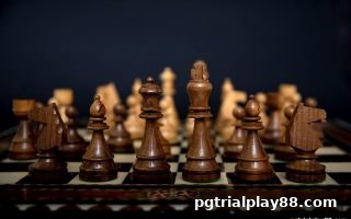 pg电子试玩网深度解析：围棋胜率统计的数学逻辑与实战应用