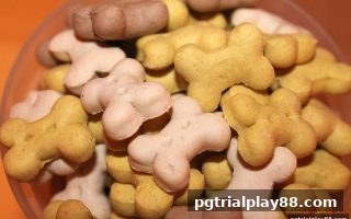 pg电子试玩网深度解析：ICM独立筹码模型如何重塑锦标赛筹码分配策略