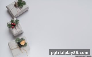 pg电子试玩网带你掌握排列三返佣结算到账周期与返点规则全面解析