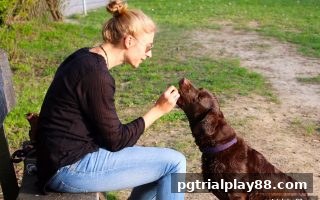 pg电子试玩网独家指南：捕鱼炮台策略与首存返利活动全攻略