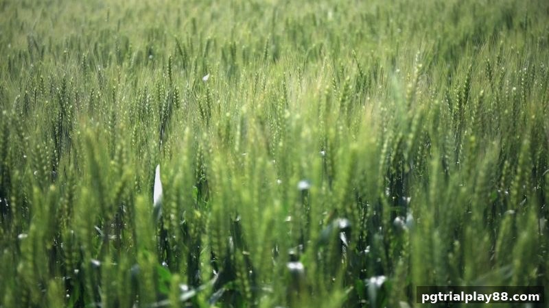pg电子试玩网全面解读BBIN电子首存奖励：领取方法与使用须知