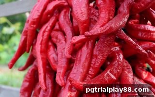 老客户活动深度解析：pg电子试玩网教你玩转专属福利与兼职收益