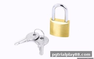 pg电子试玩网深度剖析：RTG电子平台出款安全挑战与破解之道