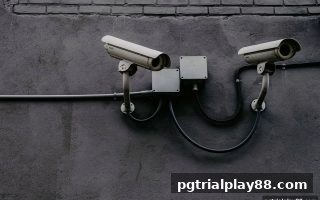 pg电子试玩网指南：菲律宾娱乐法规下的平台安全筛选与DG真人体验
