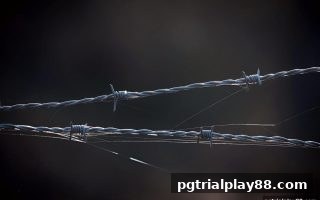 pg电子试玩网权威指南：如何通过官方App验证平台合法性，安心玩转财神电子