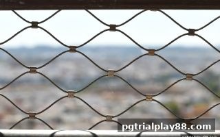 被骗后如何高效维权并识别风险？pg电子试玩网全流程指南