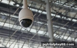 pg电子试玩网深度解析：如何系统筛查在线娱乐平台的跑路隐患？