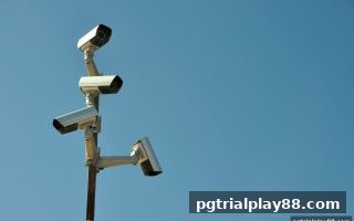 pg电子试玩网合法性评估指南：多维指标助你做出明智选择