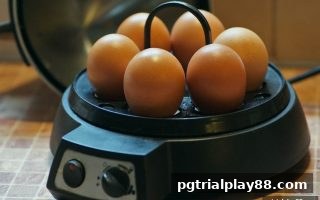 免费旋转机制详解：pg电子试玩网助你玩转线上扑克厅